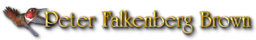 Peter Falkenberg Brown